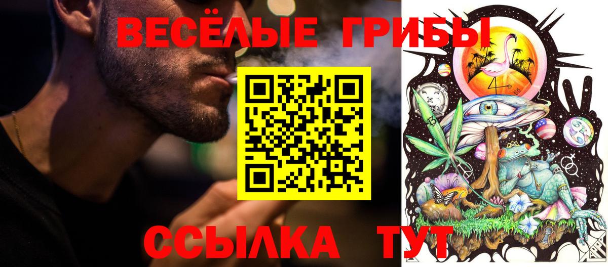 где можно купить наркотик  Псилоцибиновые грибы Magic Shrooms  Вход с VPN  Раменское 