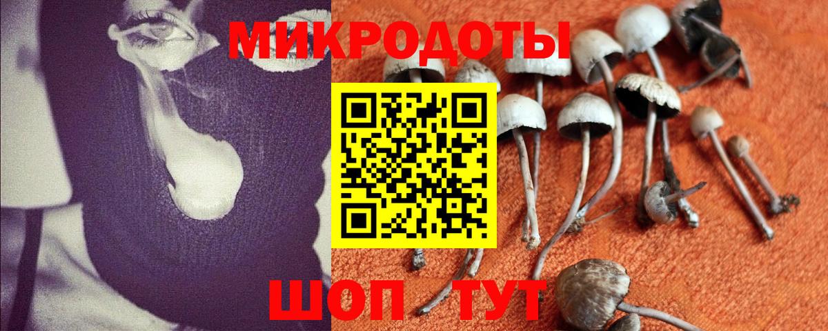 Псилоцибиновые грибы Magic Shrooms Раменское